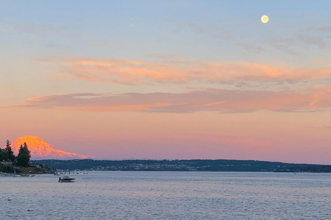 Photo of Others in Gig Harbor