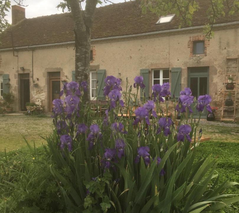 Photo of Others in Lussac-Les-Eglises