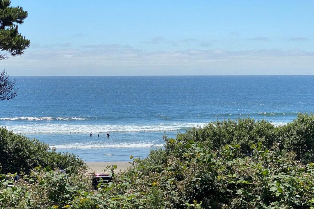 Photo of Others in Oceanside