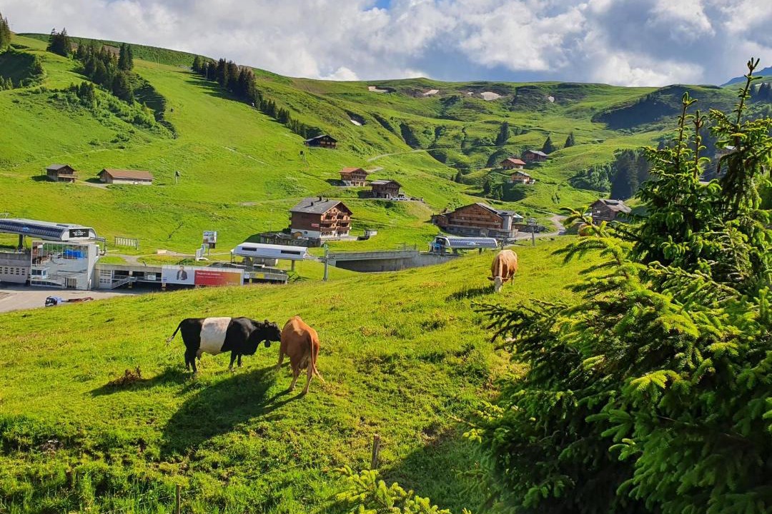 Photo of Others in Val d'Illiez