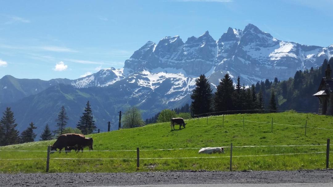 Photo of Others in Val d'Illiez