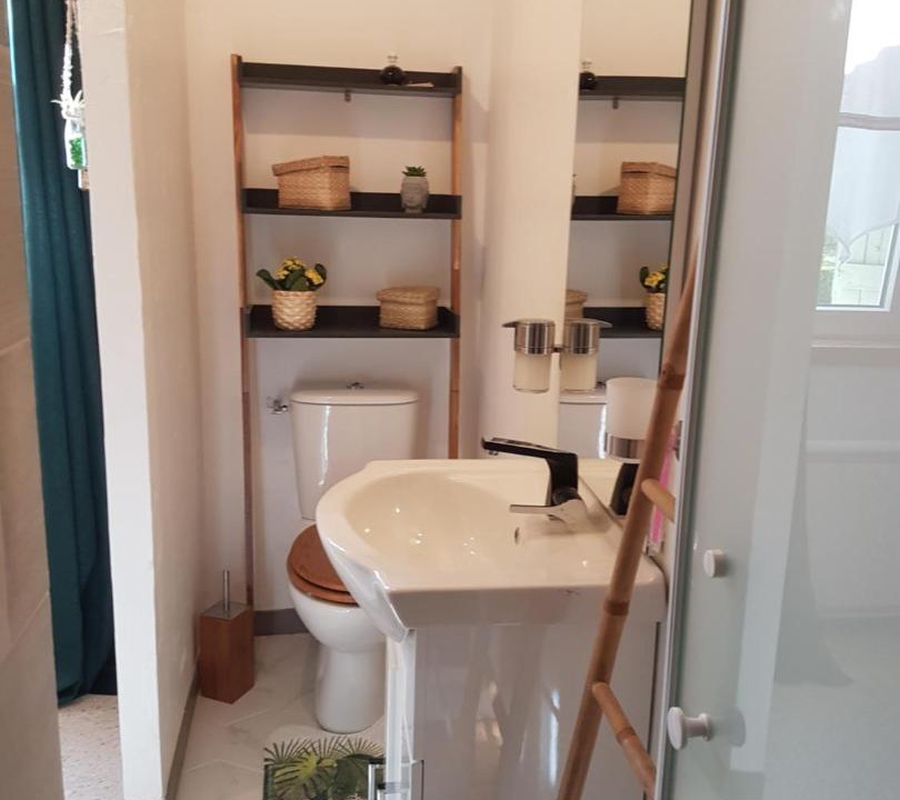 Photo of Others in Felines-Termenes