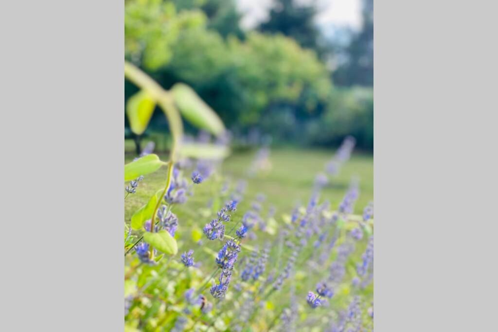 Photo of Others in Mareuil-sur-Cher