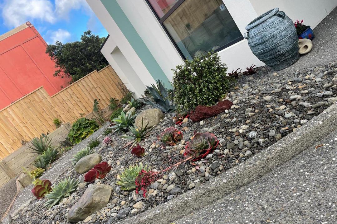 Photo of Others in Titahi Bay