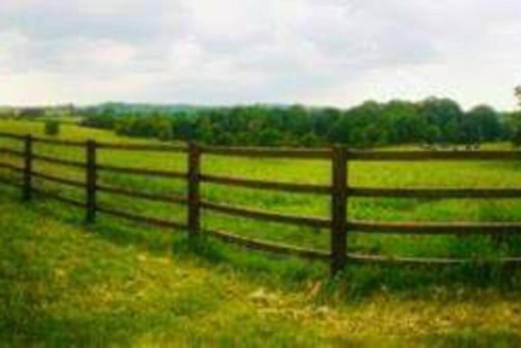 Photo of Others in Forsbrook