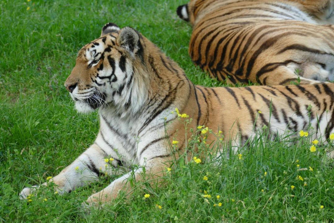 Photo of Others in Quintenas