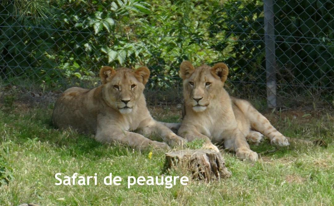 Photo of Others in Quintenas