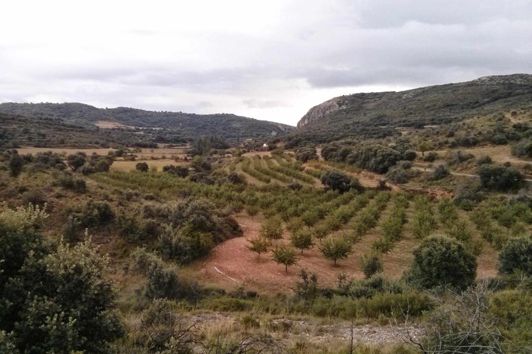 Photo of Others in Peralta de Calasanz