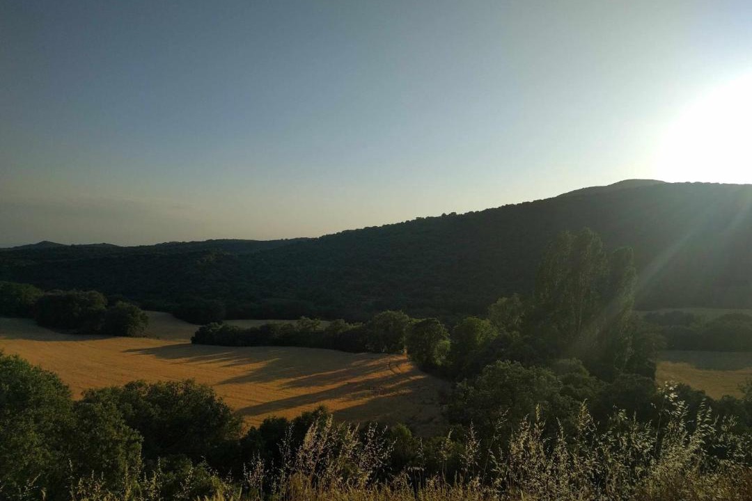 Photo of Others in Peralta de Calasanz