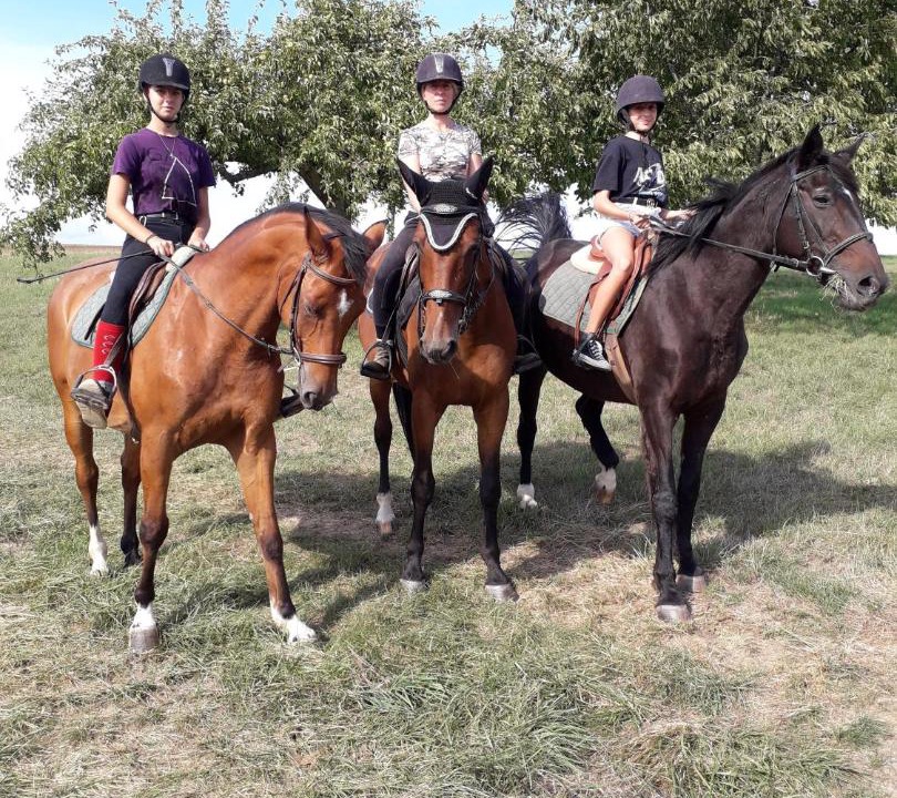 Photo of Others in Alteckendorf