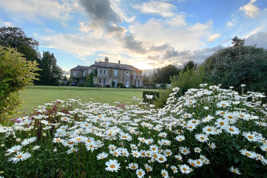 Photo of Others in Thirsk