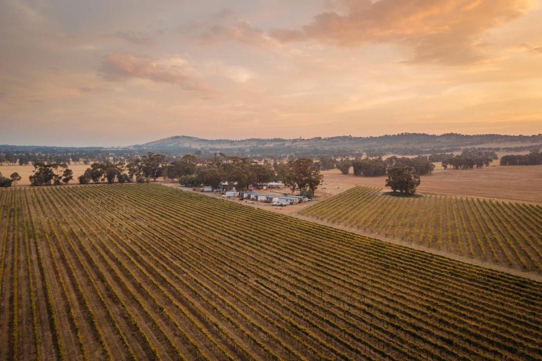 Photo of Others in Cornella