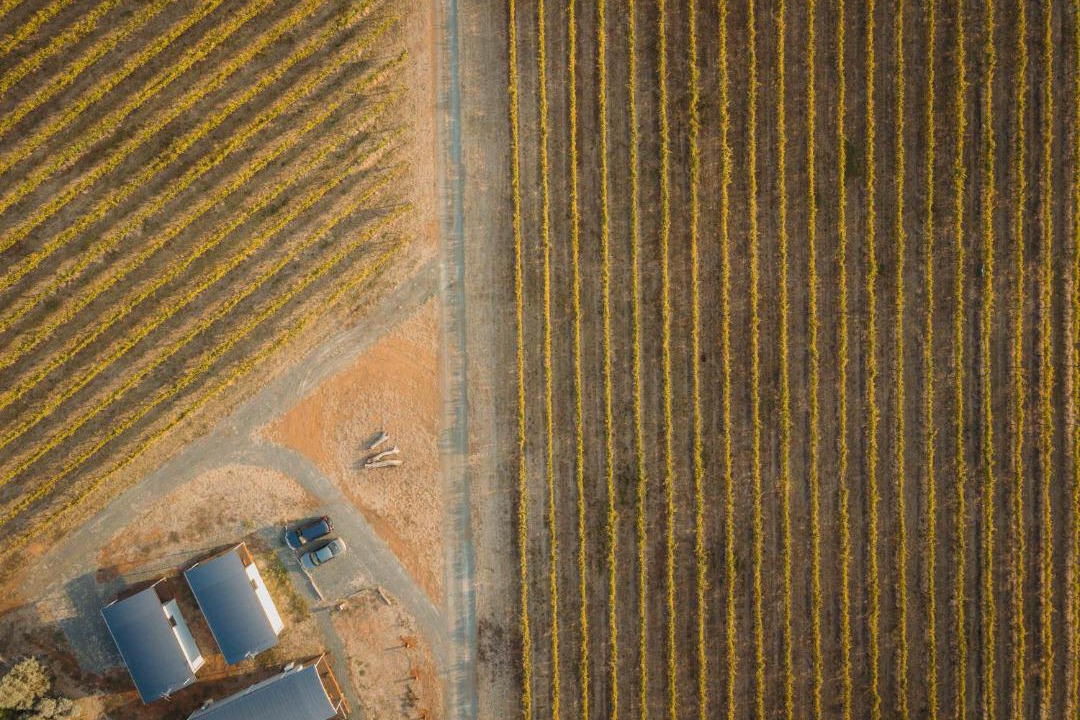 Photo of Others in Cornella