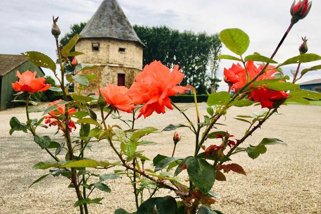 Photo of Others in Forest-Montiers