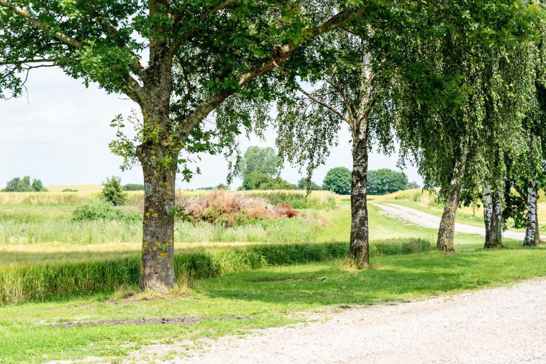 Photo of Others in Naestved