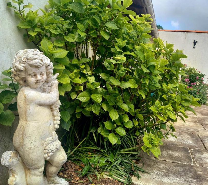 Photo of Others in Jard-sur-Mer