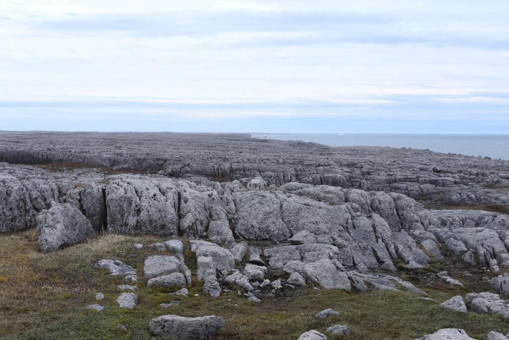 Photo of Others in Cook's Harbour