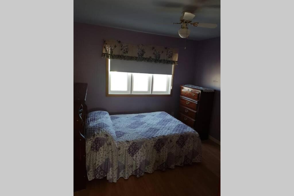 Photo of Others in Cook's Harbour