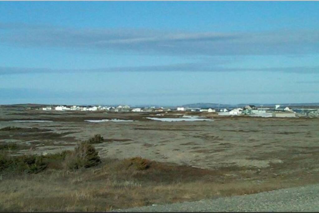 Photo of Others in Cook's Harbour