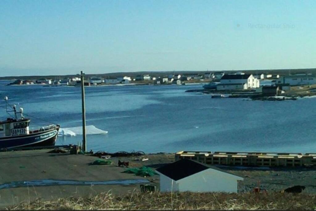 Photo of Others in Cook's Harbour