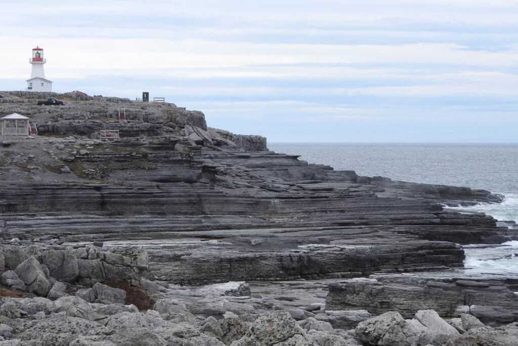 Photo of Others in Cook's Harbour