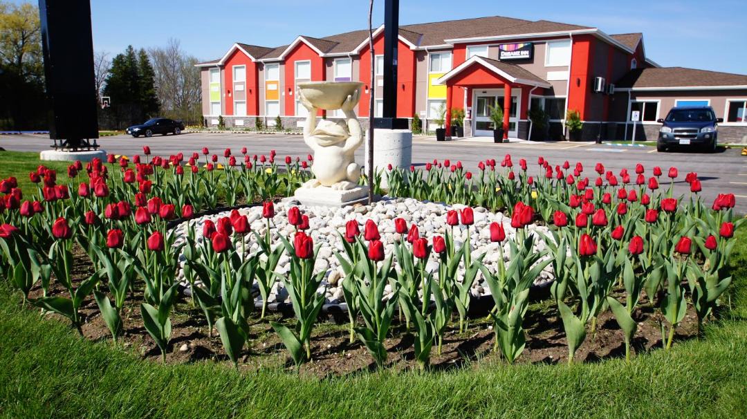 Photo of Others in Central Huron