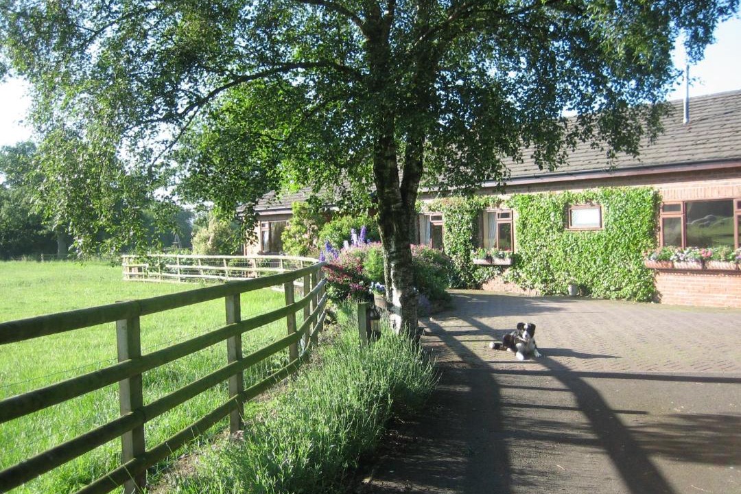 Photo of Others in Congleton