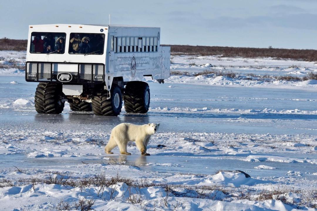 Photo of Others in Churchill