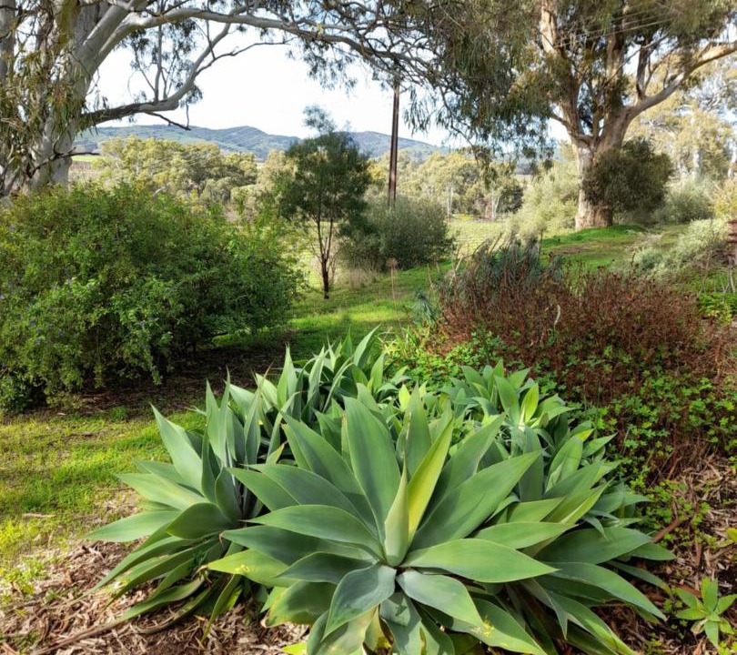 Photo of Outdoor in Rowland Flat
