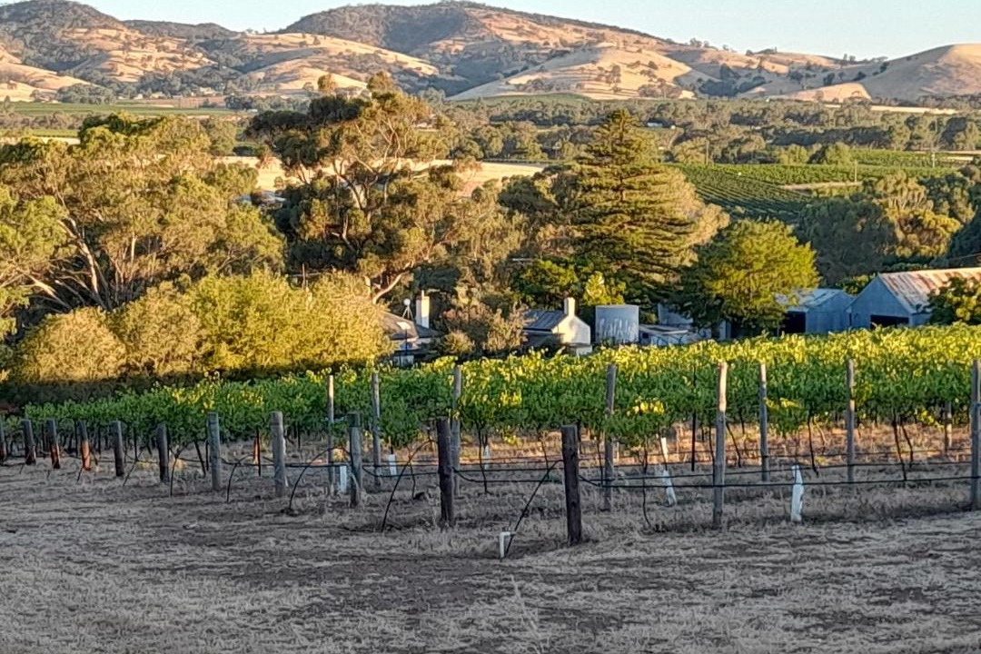 Photo of Others in Rowland Flat