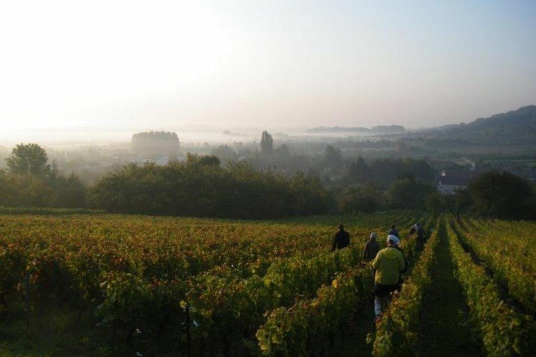 Photo of Outdoor in Choloy-Menillot