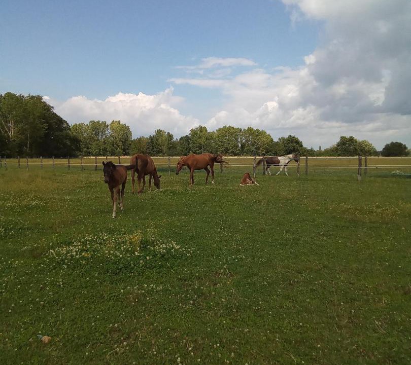 Photo of Others in Rigny-Usse