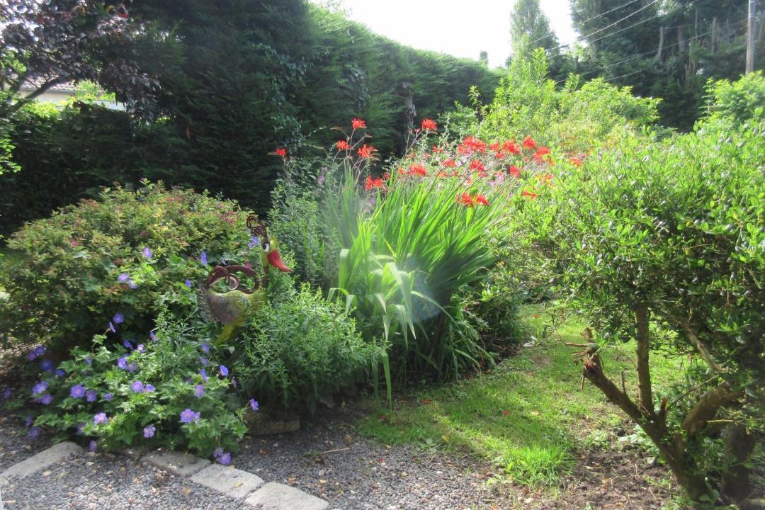 Photo of Others in Fecamp