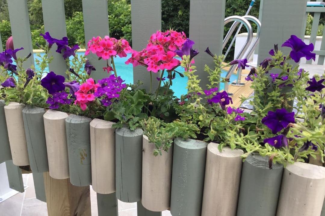 Photo of Others in Magnac-Laval