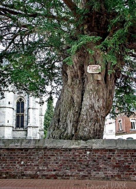 Photo of Others in Offranville