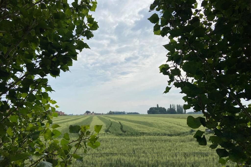 Photo of Others in Sailly-lez-Lannoy