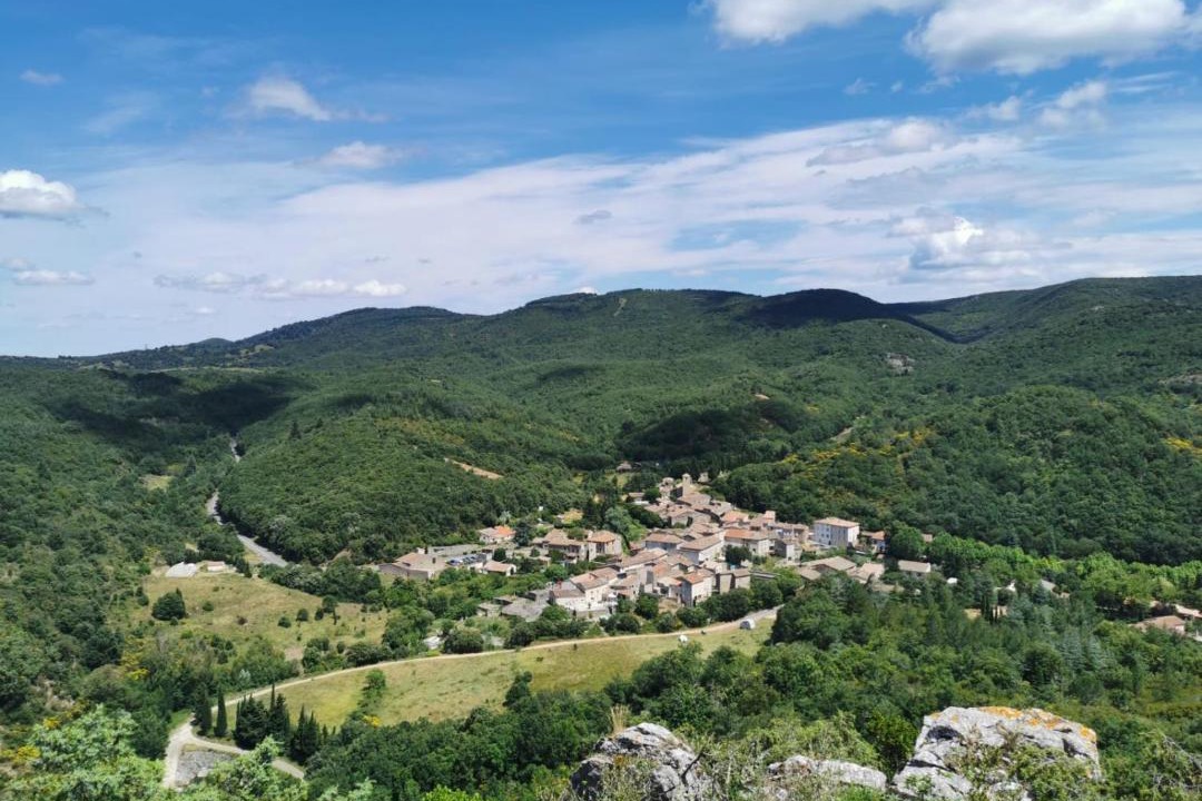 Photo of Others in Felines-Termenes