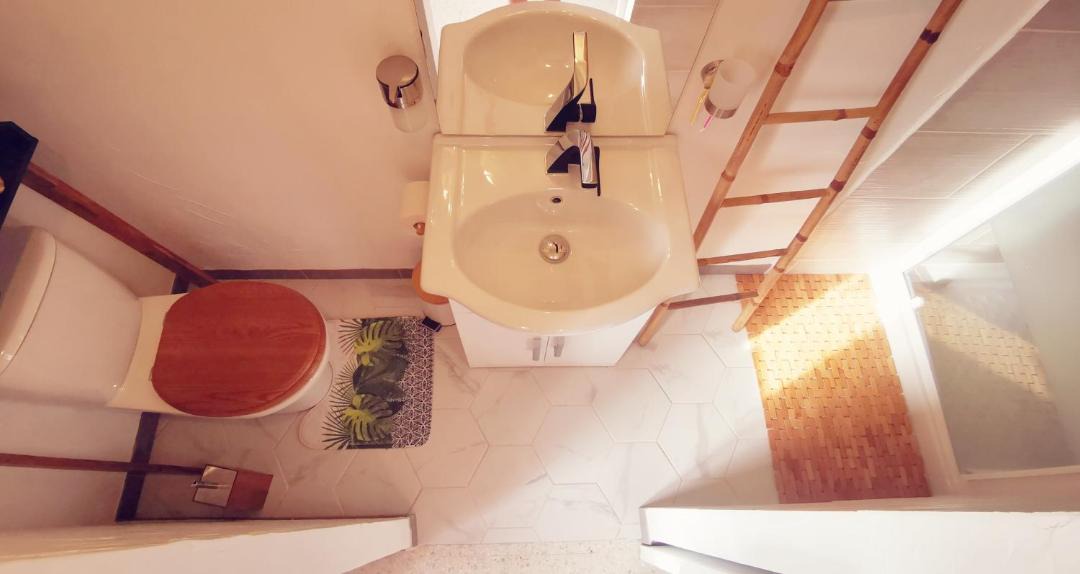 Photo of Others in Felines-Termenes