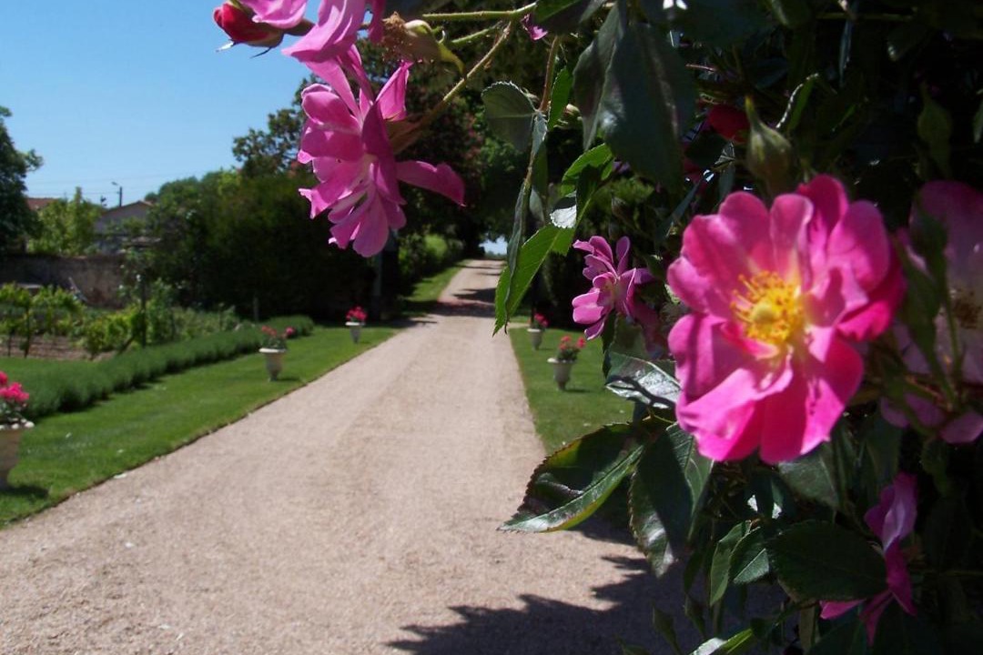 Photo of Others in Courcelles