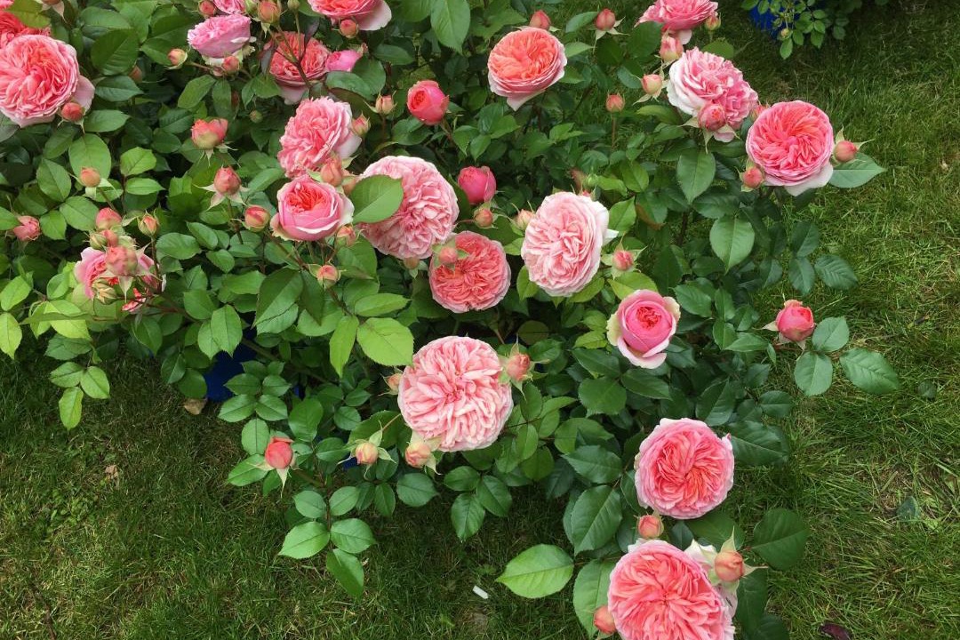 Photo of Others in Serbonnes