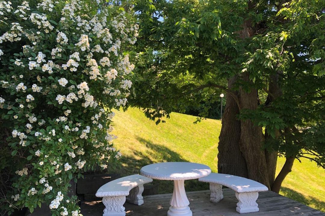 Photo of Others in Pictou