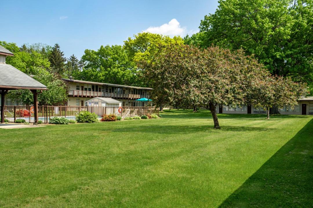 Photo of Others in Painted Post