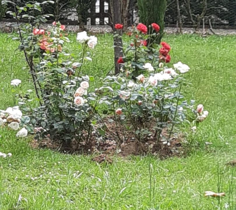 Photo of Others in Barbotan-les-Thermes