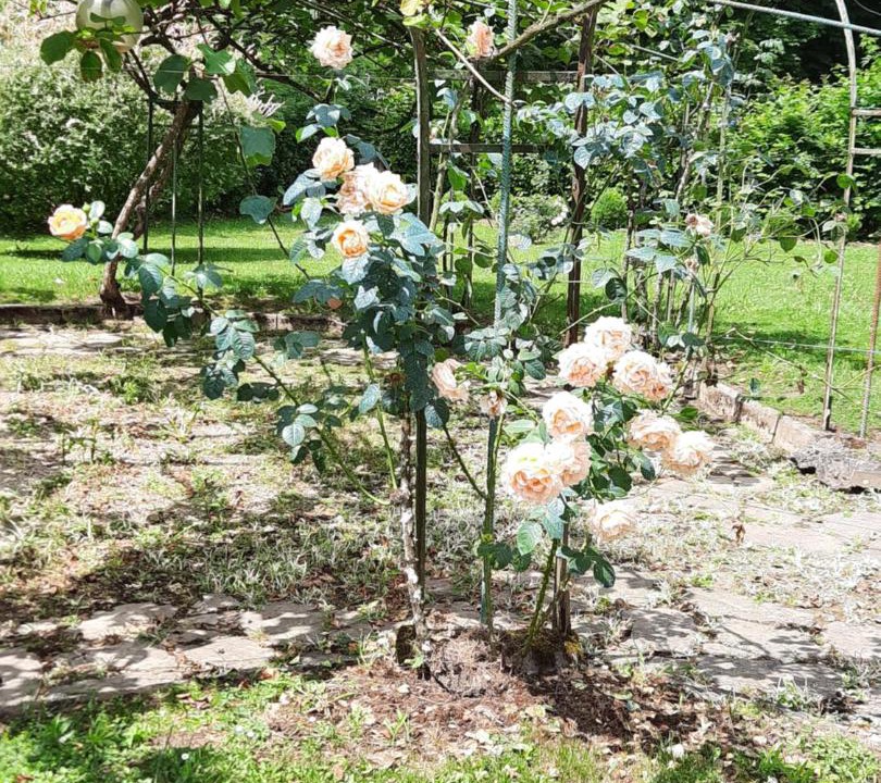 Photo of Others in Barbotan-les-Thermes