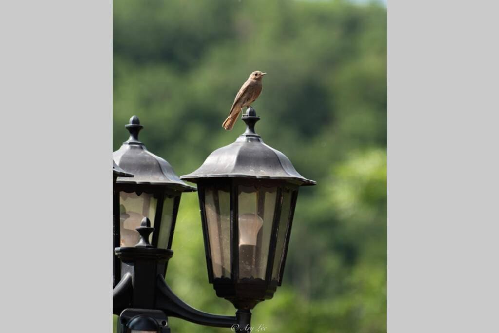 Photo of Others in Chouvigny