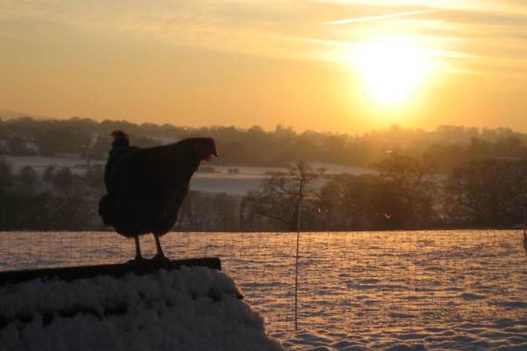 Photo of Others in Congleton