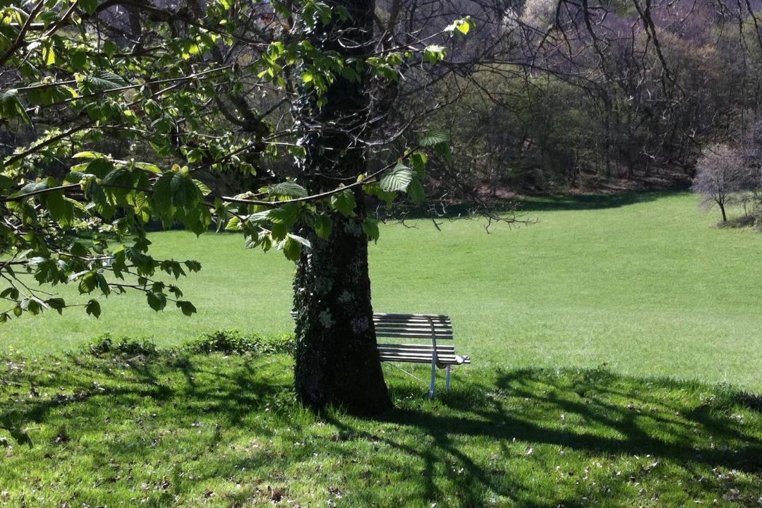 Photo of Others in Fleurac