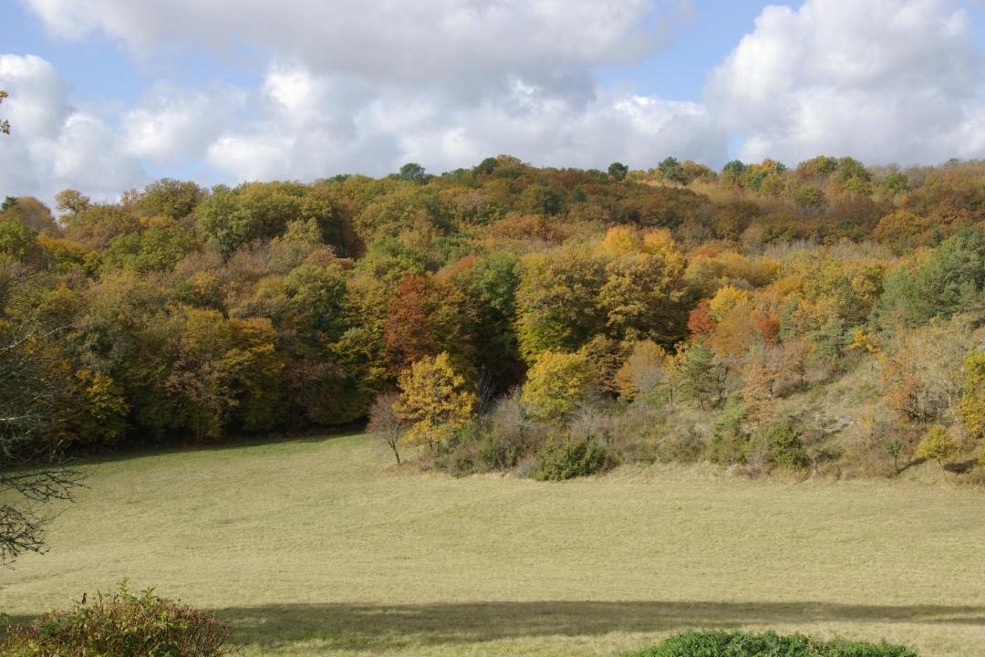 Photo of Others in Fleurac