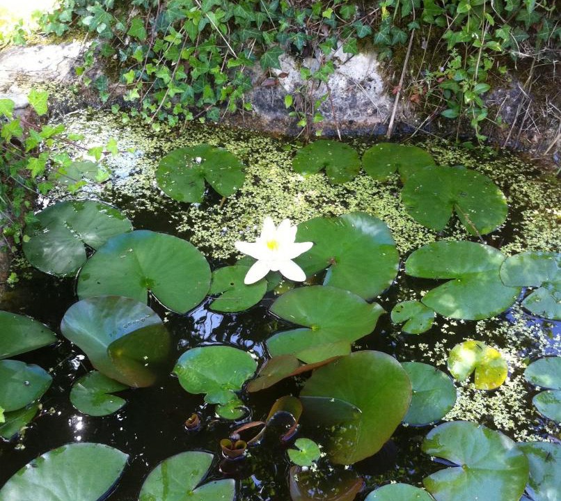 Photo of Others in Fleurac