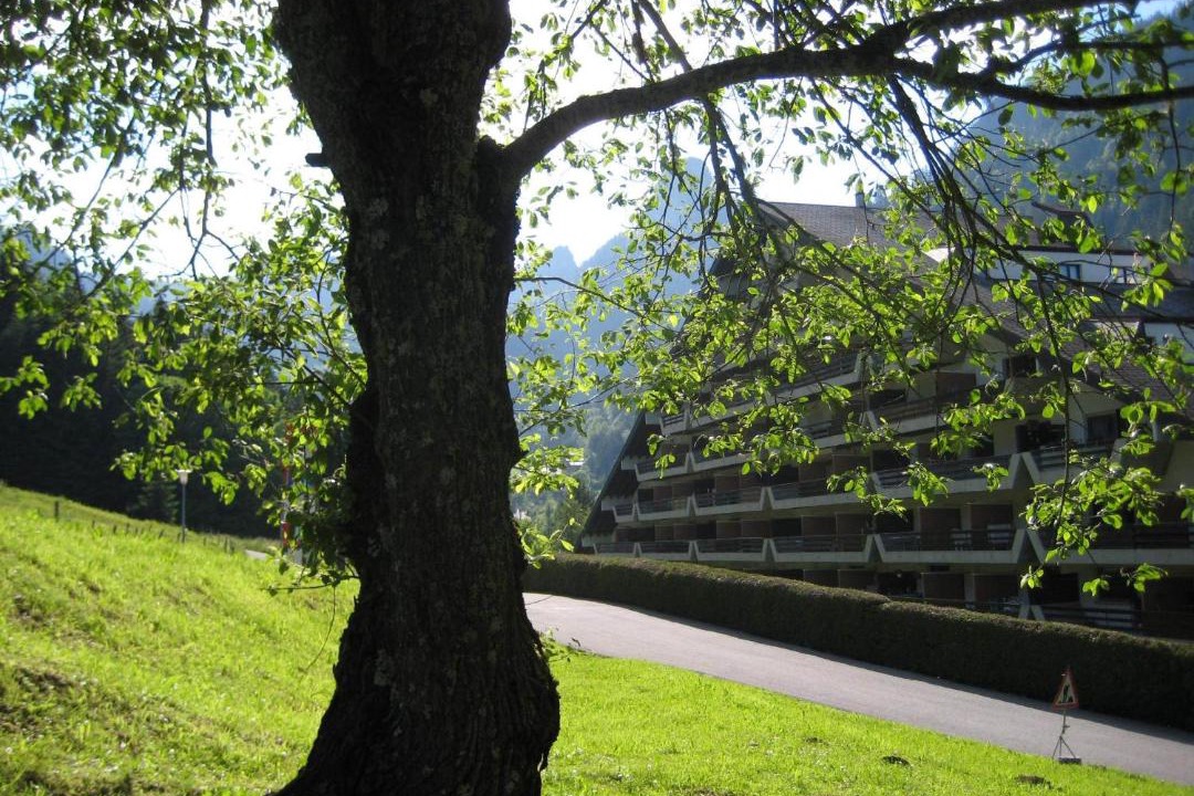 Photo of Others in Vionnaz